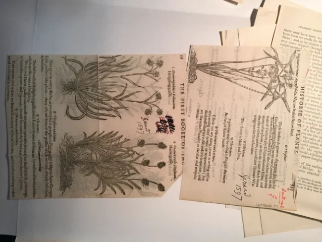 Shakespeare in Scraps: Halliwell-Phillipps and Theatre History 11