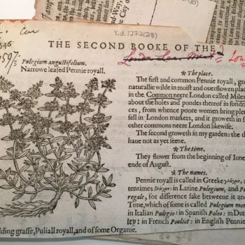 Shakespeare in Scraps: Halliwell-Phillipps and Theatre History 22